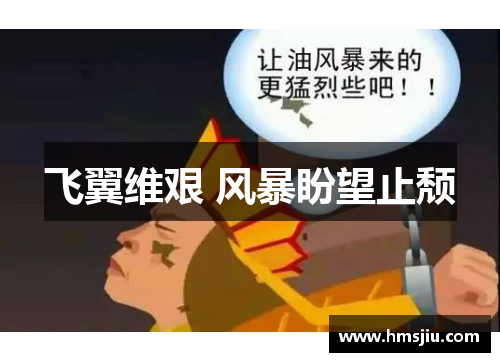 飞翼维艰 风暴盼望止颓